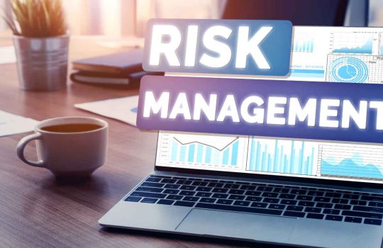 Risk and Project Management2